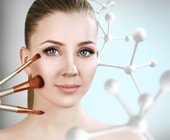 Premium ovine collagen research