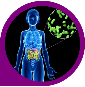 5 Signs Your Gut Health Needs Attention — Holista Global