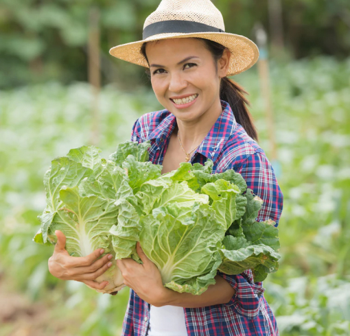Fresh produce harvesting