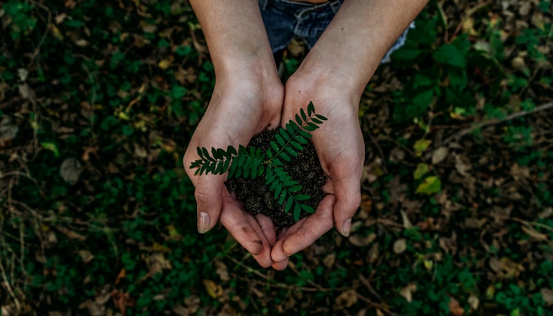 Sustainable sourcing